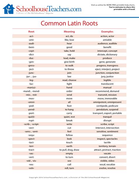 latin suffixes list.